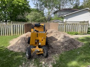 stumpgrinding