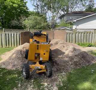stumpgrinding